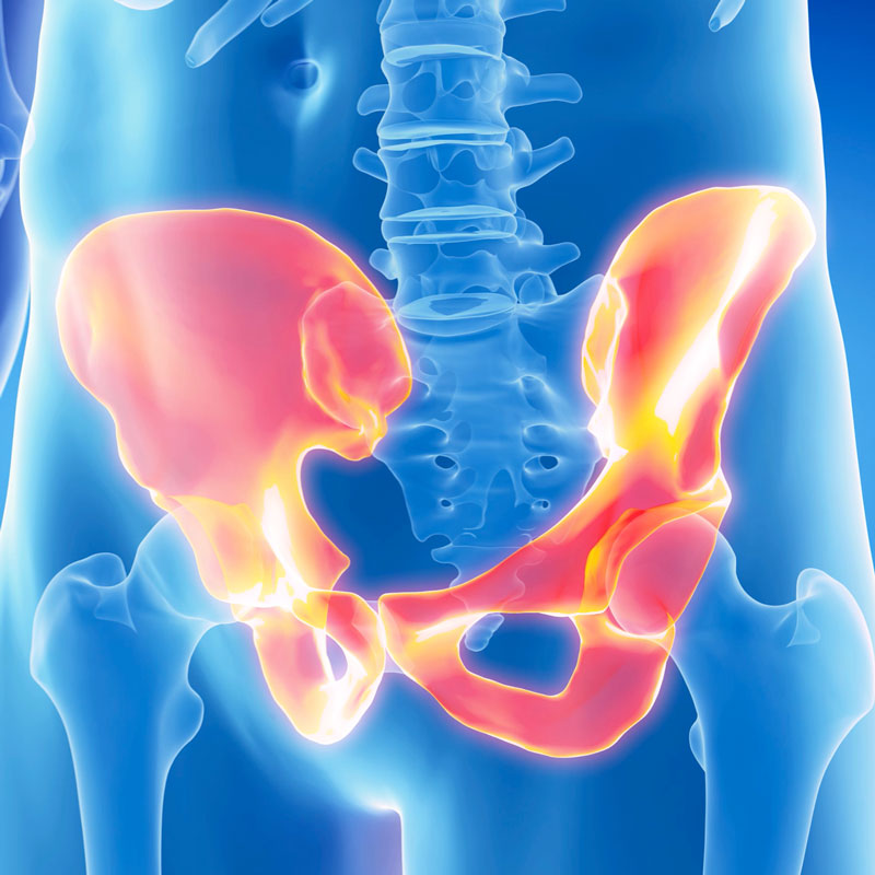 Orthopedic Hip Specialist
