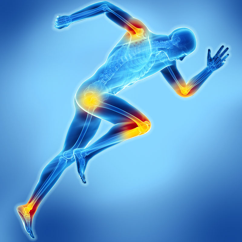 Sports Medicine
